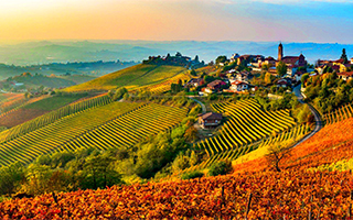 Италия зовет туристов на осеннюю дегустацию вин